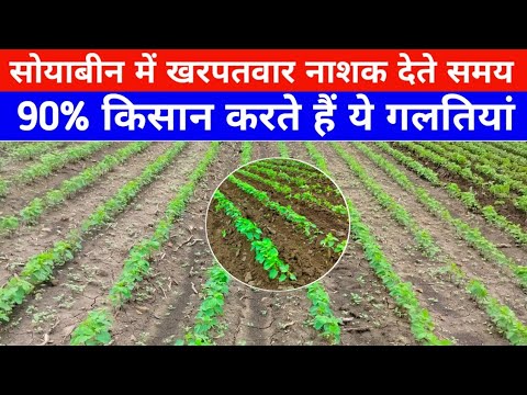 सोयाबीन में खरपतवार नाशक देते समय ना करें ये गलतियां / Soybean ki kheti / Soybean Farming