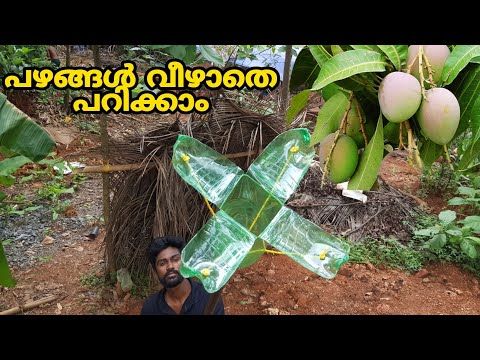 പഴങ്ങൾ കേടാകാതെ പറിക്കാം|fruits plucker making in malayalam|bottle fruits plucker|how to make|DIY