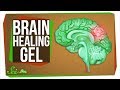 CFC Emissions and Brain Cell Research