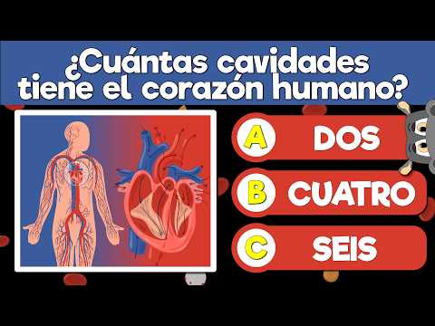 🔴 50 Preguntas sobre el Sistema Circulatorio 🩸 | ¿Cuánto sabes de tu cuerpo? | Trivia Científica