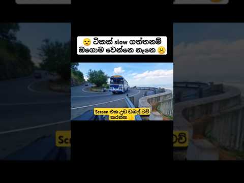 😒 බස් එක #travel #automobile #tour #trip #bus #busrace #music #trending #driving #shortsfeed #shorts