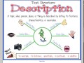 Exploring Text Structures in Writing