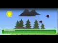 Exploring the Carbon Cycle