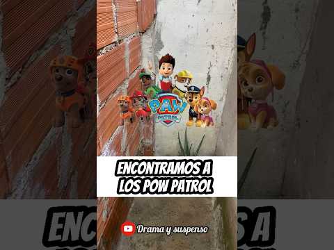 Encontramos a los paw patrol 😱😱😱