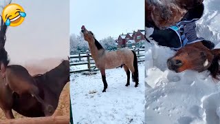 Funny Caballos (EP.03)