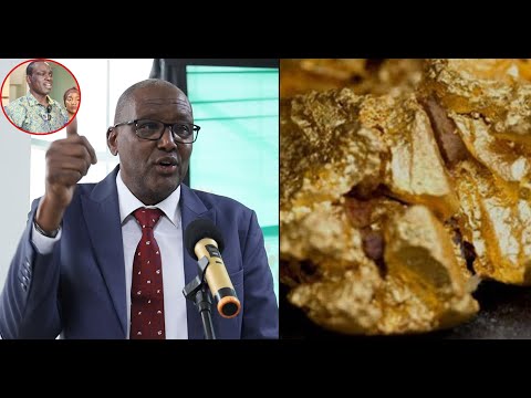 TANZANIA MIONGONI MWA NCHI AFRIKA KUWA NA DHAHABU SAFI YA TANI 6.484 KAMA MBADALA WA FEDHA ZA KIGENI