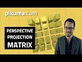 Matrices in Perspective Projection