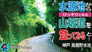 【BRIEF#65】水源池からひっそりとある山坂道を登ってみると…｜神戸 烏原貯水池