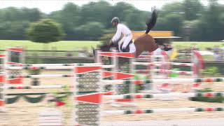 Nino Ice (2013) 1.40m with Rene Dittmer (rider Beerbaum) Numero Uno x Int. showjumping mare Annina Z