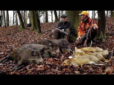 Traumdrückjagd Teil 1 - Dream Drivenhunt - Hunter Brothers