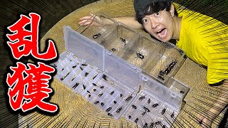 クワガタとカブトムシ100匹捕まえるまで帰れませんをしたらとんでもない時間がかかりました…