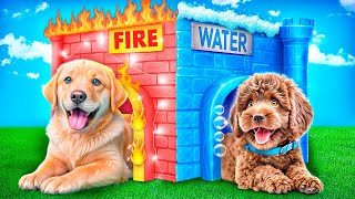 ¡Mascotas de Fuego y Mascotas de Agua! ¡Cómo hacer Casas para Mascotas!