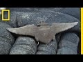 Civil War Artifact Discovery Analysis