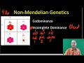 Genetics Concepts and Inheritance Patterns