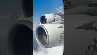Beautiful Emirates A380 landing at Paris CDG (from Dubai DXB and Auckland AKL)