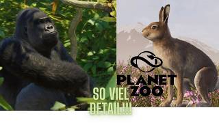 Hasen Gorillas und mehr im neuen FEATURE FOKUS!