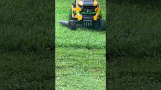 Cutting Grass😍තනකොළ කපන ගමන්😍#grasscutting #lawnmower