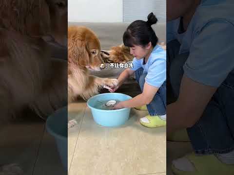 Duoduo: Throw my bowl? I asked you to pick it up whatever you want, and it also polished it sh 💃 P45