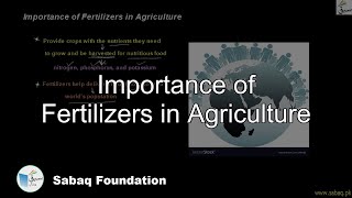 Importance of Fertilizers in Agriculture
