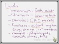 Biological Macromolecules and Their Functions