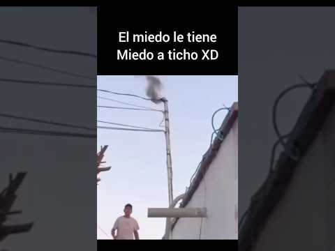 #memes #humor #xd #parati