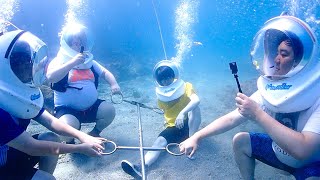 フェニックス33歳誕生日！みんなで海の底を歩きたい！！