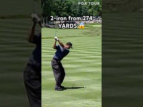Just Tiger Woods things 🐅