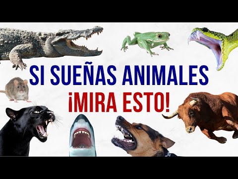 Sueños feos, se acaban con esta oración