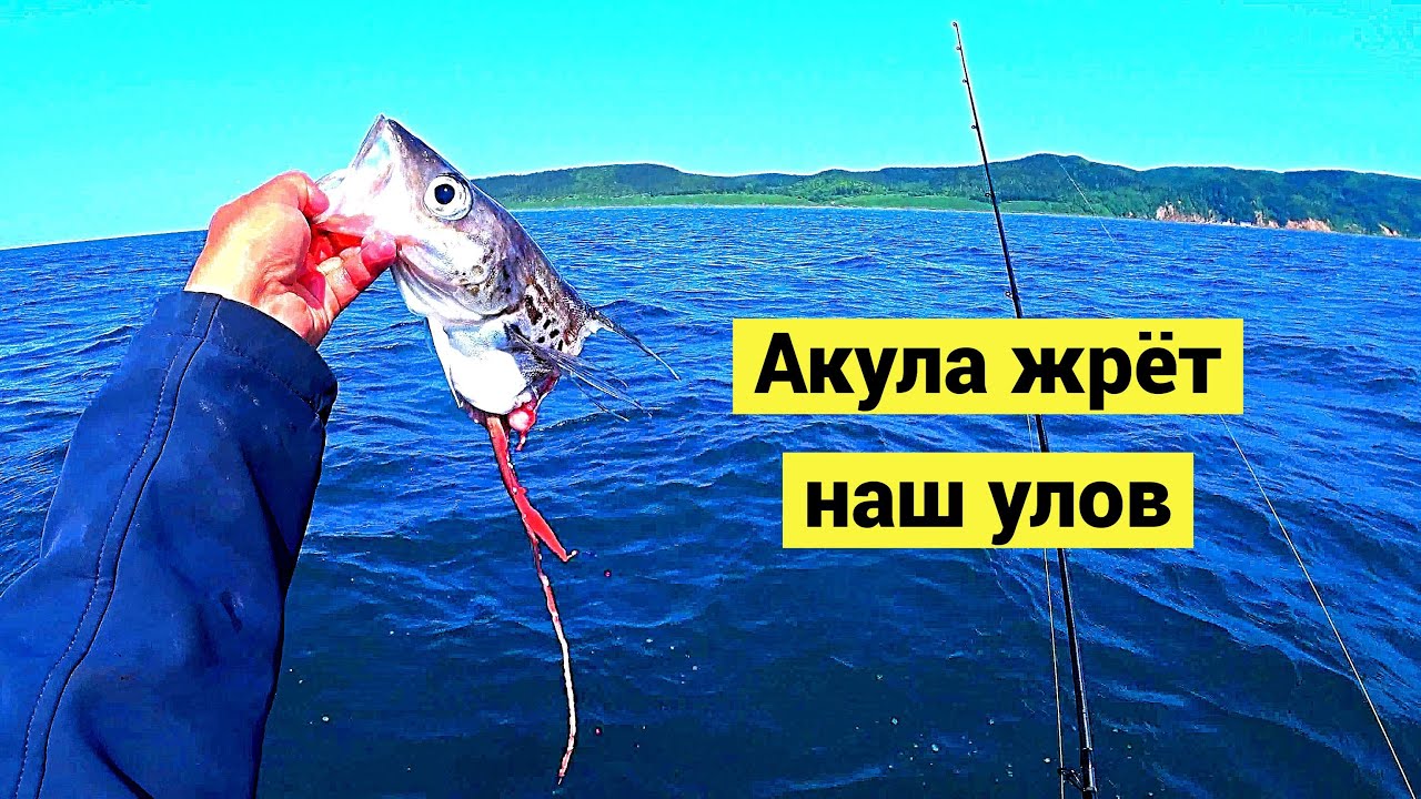 Семья из Красноярска! Рыбалка с гостем! Выпуск 2