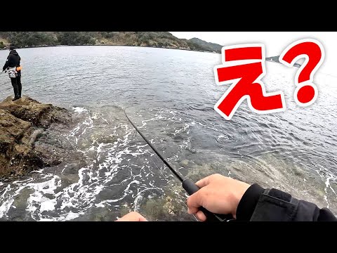 ショアから真鯛が釣れた‼️