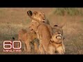 Gorongosa National Park Conservation Challenges