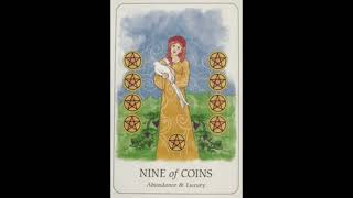 January 20, 2026 - Tarot Card of the Day - 9 of Pentacles (Coins)