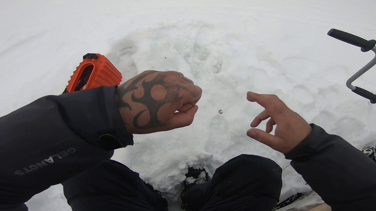 Трофей на мормышкуВозвращаемся на Енисей