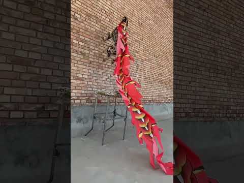 charming and jumps on skay dog #doglover #pets #trending #viralvideo #shorts #animals