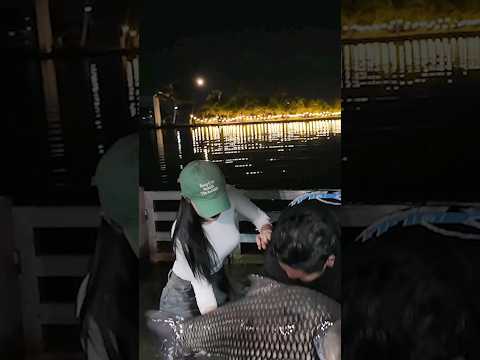 물고기가 사람을 때릴 수 있다?