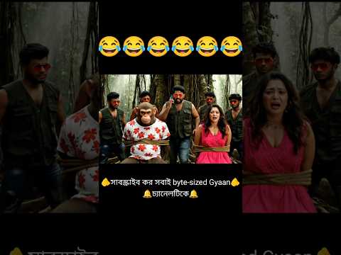 হাল্কের ভাই ও ভাবির বদলে 10 কিলো আলু 😂||হাসতে হাসতে পেট ব্যথা 🐒#viral #trending #funny