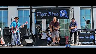 Tiger Blue performing "That's All Right" @ Wellen Park 02.14.26