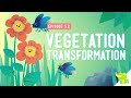 Photosynthesis Concepts and Processes