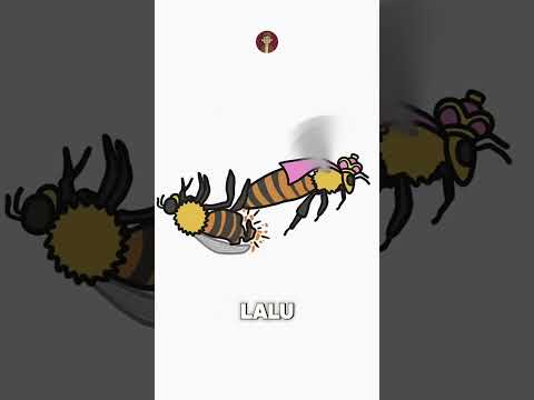 kehadiran lebah jantan gak guna? #animation #shorts