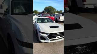 $57000 WHIPPLE MUSTANGS IN STOCK (PROMO CARS)
