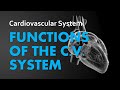 Blood Components and Functions