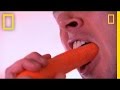 Understanding Taste and Flavor