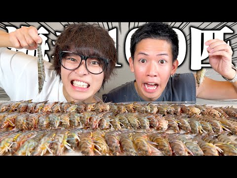 【閲覧注意】大好きなエビをなんとしてでも100匹食べ切る！！！