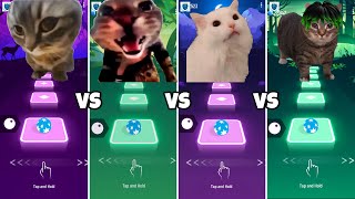 Chipi Chipi Chapa Chapa Cat vs Doorbell Cat vs Astronomia Cat vs Oiiaoiia Cat - Tiles Hop EDM Rush