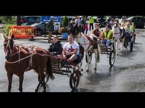 Chris Rea ~ Curse Of The Traveller (1987)