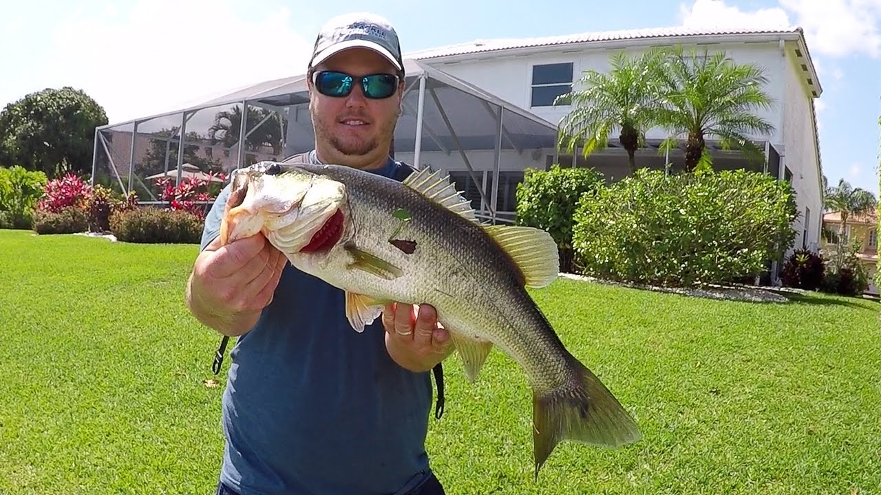 Pond Fishing - Searching for my New PB Bass