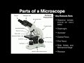 Microscope Functionality and Bacterial Shapes