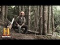 Injuries and Accidents in Nature