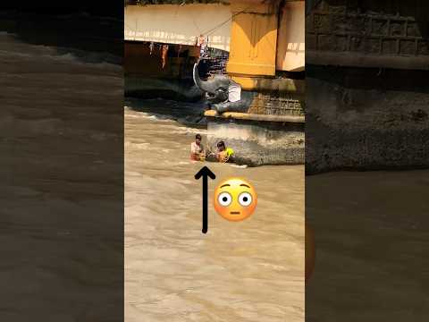 हरिद्वार गंगा में खतरों से खेलते हुए बच्चे#haridwar #ganga #shortsfeed #youtubeshorts #shorts