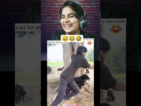 #sanjubaba